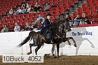 10buck_4052 proof