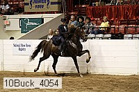 10buck_4054 proof