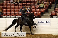 10buck_4056 proof