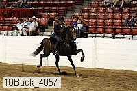 10buck_4057 proof