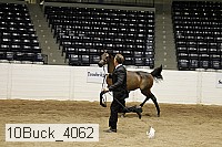 10buck_4062 proof