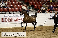 10buck_4063 proof