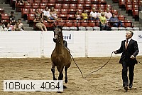 10buck_4064 proof