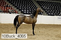 10buck_4065 proof