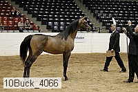 10buck_4066 proof