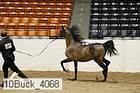 10buck_4068 proof
