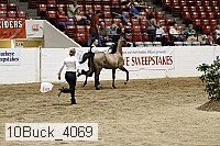 10buck_4069 proof