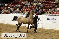 10buck_4070 proof