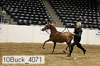 10buck_4071 proof