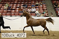 10buck_4072 proof