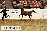 10buck_4073 proof