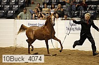 10buck_4074 proof