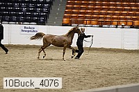 10buck_4076 proof