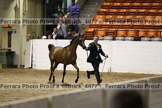 Proof 10buck_4077