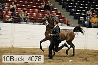 10buck_4078 proof