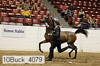 10buck_4079 proof