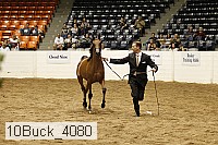 10buck_4080 proof