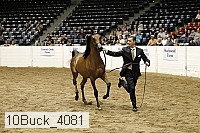 10buck_4081 proof