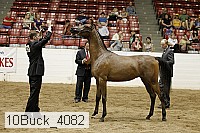 10buck_4082 proof