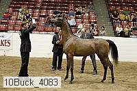 10buck_4083 proof