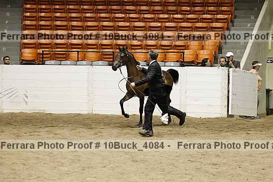 Proof 10buck_4084
