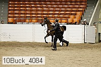 10buck_4084 proof