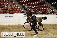 10buck_4085 proof