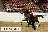 10buck_4086 proof