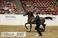 10buck_4087 proof
