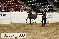 10buck_4088 proof