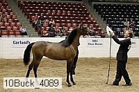 10buck_4089 proof