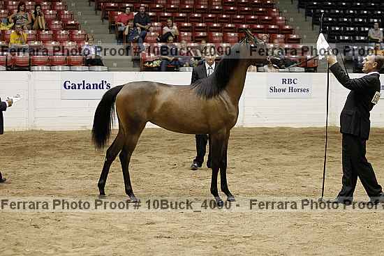 Proof 10buck_4090