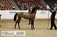 10buck_4090 proof