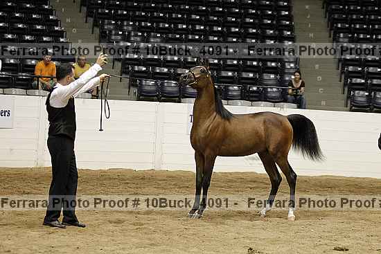 Proof 10buck_4091
