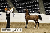 10buck_4091 proof