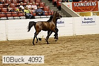 10buck_4092 proof
