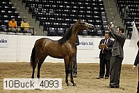 10buck_4093 proof