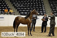 10buck_4094 proof