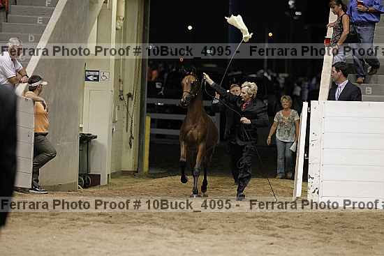 Proof 10buck_4095