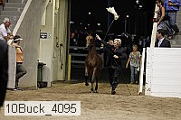 10buck_4095 proof
