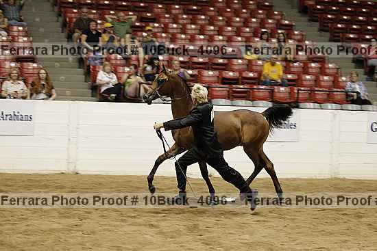 Proof 10buck_4096