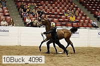 10buck_4096 proof