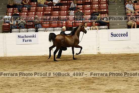 Proof 10buck_4097