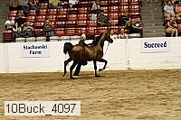 10buck_4097 proof