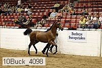 10buck_4098 proof