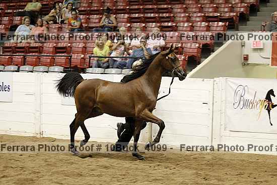 Proof 10buck_4099