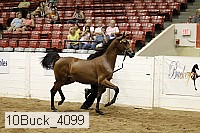 10buck_4099 proof