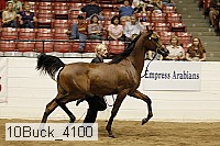 10buck_4100 proof