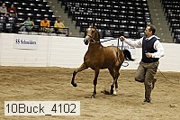 10buck_4102 proof