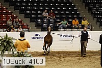 10buck_4103 proof